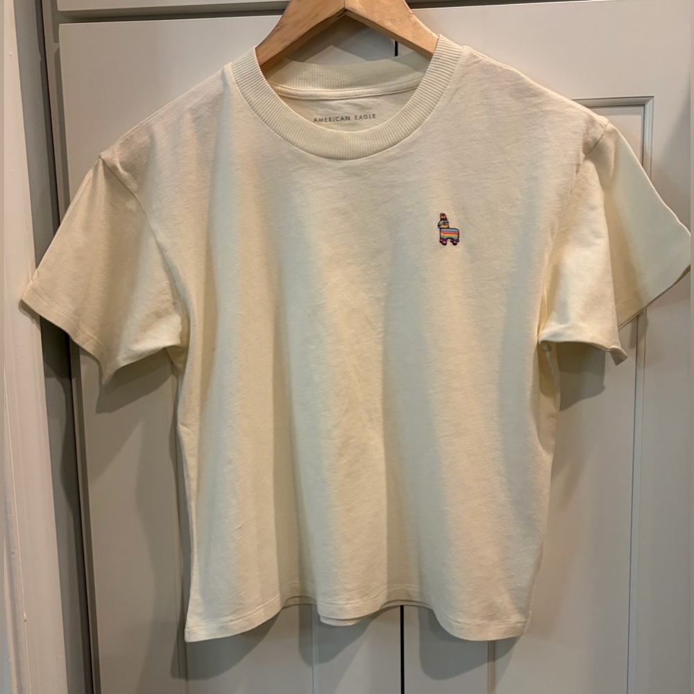 American Eagle Outfitters Women’s Off White Embroidered T-Shirt, Piñata Design